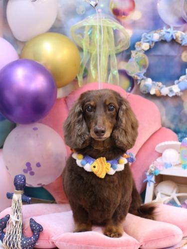 20240824ジョナくん